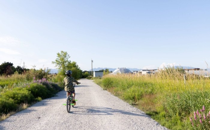 Things to do in downtown Vancouver
