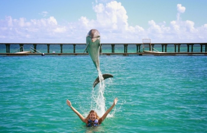 Things to do in Punta Cana at night