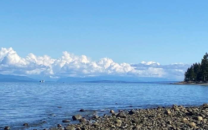 Unique things to do on Vancouver Island Unique things to do on Vancouver Island