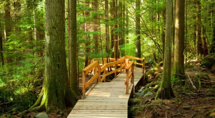 Things to do in South Vancouver