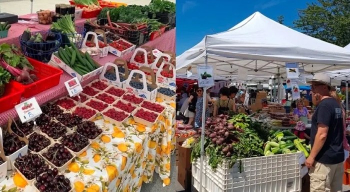 Things to do in downtown Vancouver