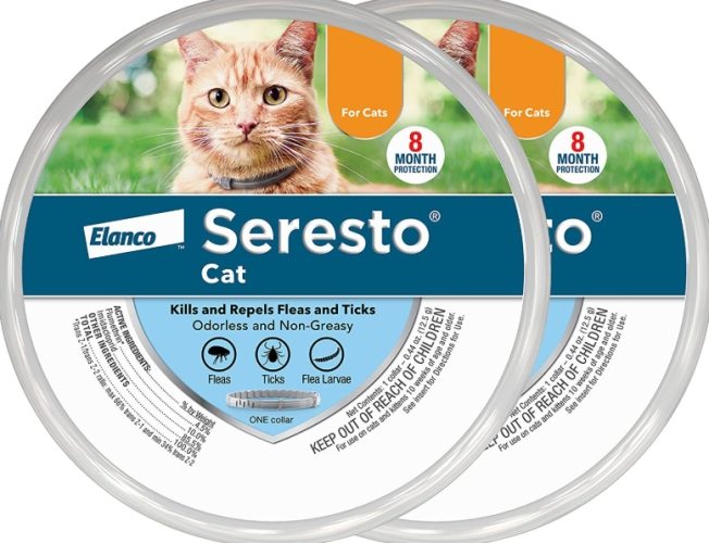 Which Types of Lice Affect Pets?