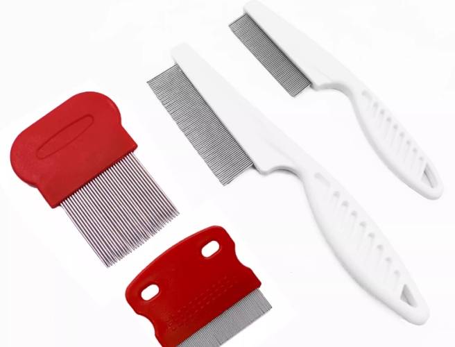 How to prevent lice in pets