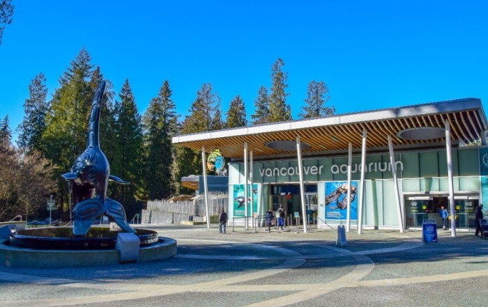 Things to do in downtown Vancouver