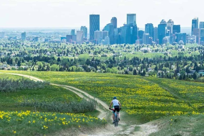 Places to visit in Calgary Downtown