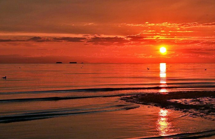 Things to do in South Vancouver