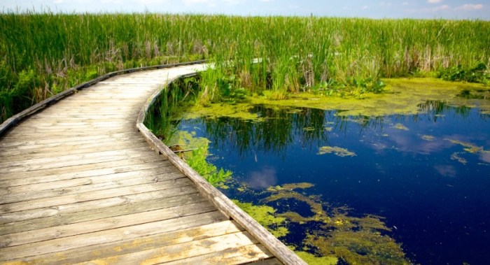 Top 10 places to visit in Ontario