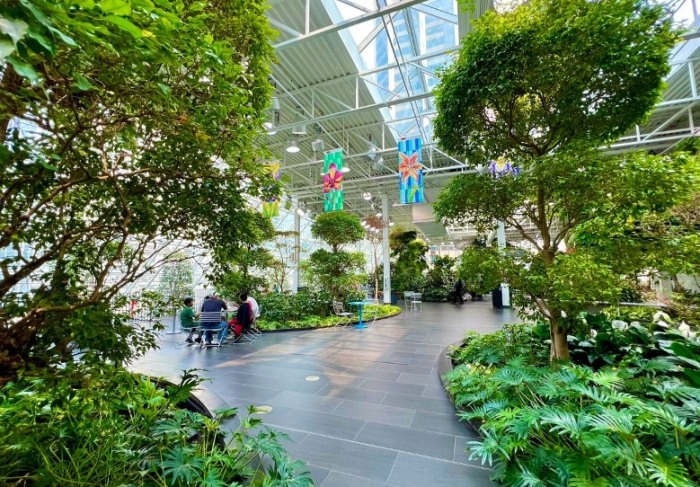 Things to do in Calgary Downtown