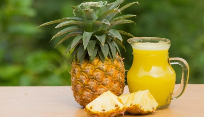Can dogs eat pineapple skin