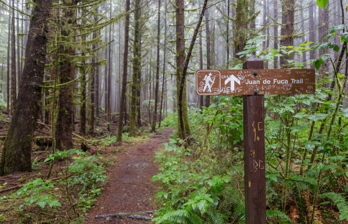Unique things to do on Vancouver Island Unique things to do on Vancouver Island
